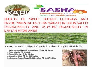 EFFECTS OF SWEET POTATO CULTIVARS AND
ENVIRONMENTAL FACTORS VARIATION ON IN SACCO
DEGRADABILITY AND IN‐VITRO DIGESTIBILITY IN
KENYAN HIGHLANDS
1
Kinyua J., 2Musalia L., 3Migwi P. 4Gachuiri C., 5Lukuyu B., 5Agili S., 1 Muriithi GM.
1. Kenya Agricultural Research Institute – Lanet, P.O. Box 3840, Nakuru.
2. Chuka University- P.O. Box Chuka
3. Egerton University, P. O. Box 536, Njoro
4. University of Nairobi, P.O. Box 29053 Nairobi
5. International Livestock Research Institute- Nairobi, P.O. Box 30709 Nairobi
1
 