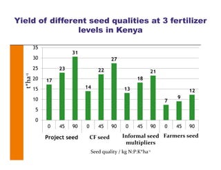 17
23
31
14
22
27
13
18
21
7
9
12
0
5
10
15
20
25
30
35
0 45 90 0 45 90 0 45 90 0 45 90
2-CF 3-CF 5-informal FPProject seed CF seed Informal seed 
multipliers
Farmers seed
Seed quality / kg N:P:K*ha‐1
t*ha‐1
Yield of different seed qualities at 3 fertilizer
levels in Kenya
 