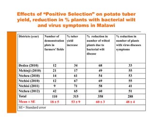 Effects of “Positive Selection” on potato tuber
yield, reduction in % plants with bacterial wilt
and virus symptoms in Malawi
Districts (year) Number of
demonstration
plots in
farmers’ fields
% tuber
yield
increase
% reduction in
number of wilted
plants due to
bacterial wilt
disease
% reduction in
number of plants
with virus diseases
symptoms
Dedza (2010) 12 34 68 33
Mchinji (2010) 21 17 49 55
Ntcheu (2010) 14 61 54 53
Ntchisi (2010) 12 67 69 55
Ntchisi (2011) 9 71 58 41
Ntcheu (2012) 42 65 60 51
Total 110 315 358 288
Mean ± SE 18 ± 5 53 ± 9 60 ± 3 48 ± 4
SE= Standard error
 