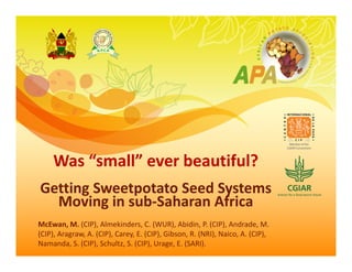 Was “small” ever beautiful? 
Getting Sweetpotato Seed Systems 
Moving in sub‐Saharan Africa
McEwan, M. (CIP), Almekinders, C. (WUR), Abidin, P. (CIP), Andrade, M. 
(CIP), Aragraw, A. (CIP), Carey, E. (CIP), Gibson, R. (NRI), Naico, A. (CIP), 
Namanda, S. (CIP), Schultz, S. (CIP), Urage, E. (SARI).
 