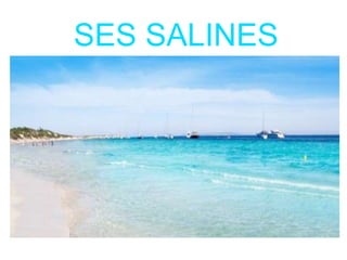 SES SALINES
 