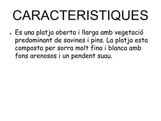 CARACTERISTIQUES
● Es una platja oberta i llarga amb vegetació
predominant de savines i pins. La platja esta
composta per sorra molt fina i blanca amb
fons arenosos i un pendent suau.
 