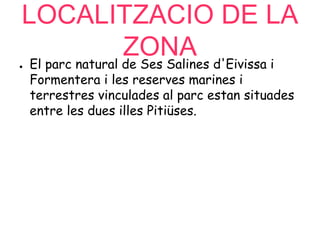 LOCALITZACIO DE LA
ZONA● El parc natural de Ses Salines d'Eivissa i
Formentera i les reserves marines i
terrestres vinculades al parc estan situades
entre les dues illes Pitiüses.
 