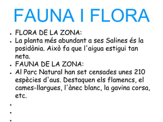 FAUNA I FLORA
● FLORA DE LA ZONA:
● La planta més abundant a ses Salines és la
posidònia. Això fa que l'aigua estigui tan
neta.
● FAUNA DE LA ZONA:
● Al Parc Natural han set censades unes 210
espècies d'aus. Destaquen els flamencs, el
cames-llargues, l'ànec blanc, la gavina corsa,
etc.
●
●
●
 