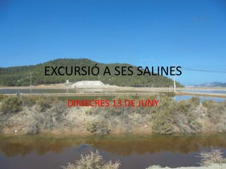 EXCURSIÓ A SES SALINES
DIMECRES 13 DE JUNY
 