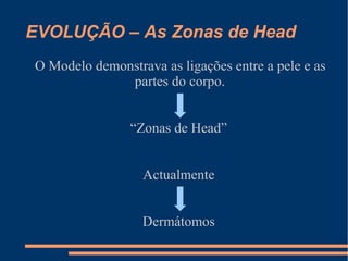 EVOLUÇÃO – As Zonas de Head
O Modelo demonstrava as ligações entre a pele e as
partes do corpo.
“Zonas de Head”
Actualmente
Dermátomos
 