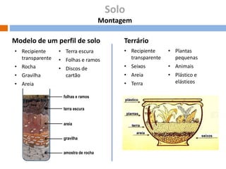 Solo
Montagem
Modelo de um perfil de solo
• Folhas e ramos

• Recipiente
transparente

• Plantas
pequenas

• Discos de
cartão

• Seixos

• Animais

• Areia

• Plástico e
elásticos

• Recipiente
transparente

• Terra escura

• Rocha
• Gravilha

Terrário

• Terra

• Areia
folhas e ramos
terra escura
areia
gravilha
amostra de rocha

 