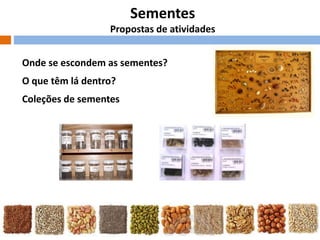 Sementes
Propostas de atividades
Onde se escondem as sementes?
O que têm lá dentro?

Coleções de sementes

 