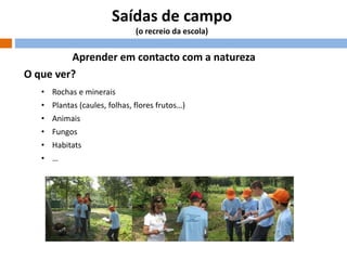 Saídas de campo
(o recreio da escola)

Aprender em contacto com a natureza
O que ver?
• Rochas e minerais
• Plantas (caules, folhas, flores frutos…)
• Animais
• Fungos
• Habitats
• …

 