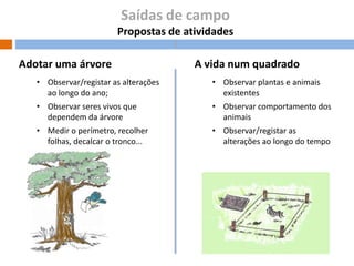 Saídas de campo
Propostas de atividades
)

Adotar uma árvore

A vida num quadrado

• Observar/registar as alterações
ao longo do ano;

• Observar plantas e animais
existentes

• Observar seres vivos que
dependem da árvore

• Observar comportamento dos
animais

• Medir o perímetro, recolher
folhas, decalcar o tronco...

• Observar/registar as
alterações ao longo do tempo

 