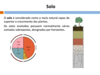 Solo
O solo é considerado como o meio natural capaz de
suportar o crescimento das plantas.
Os solos evoluídos possuem normalmente várias
camadas sobrepostas, designadas por horizontes.

 