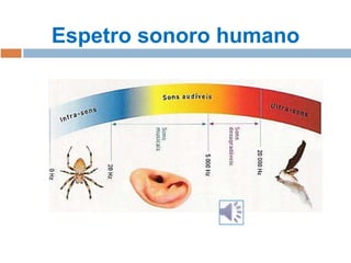 Espetro sonoro humano

 
