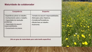 Competência Empenho
- Experiência prévia no trabalho.
- Conhecimento sobre o trabalho.
- Capacidade de resolução
problemas.
- Capacidade de assumir
responsabilidades.
- Cumprimento de prazos.
- Vontade de assumir responsabilidades.
- Motivação pelos Objetivos.
- Constância/Persistência.
- Atitude face ao trabalho.
- Autonomia.
(Há um grau de maturidade para cada tarefa especifica)
Maturidade do colaborador
 