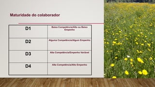 D1 Baixa Competência/Alto ou Baixo
Empenho
D2 Alguma Competência/Algum Empenho
D3 Alta Competência/Empenho Variável
D4 Alta Competência/Alto Empenho
Maturidade do colaborador
 