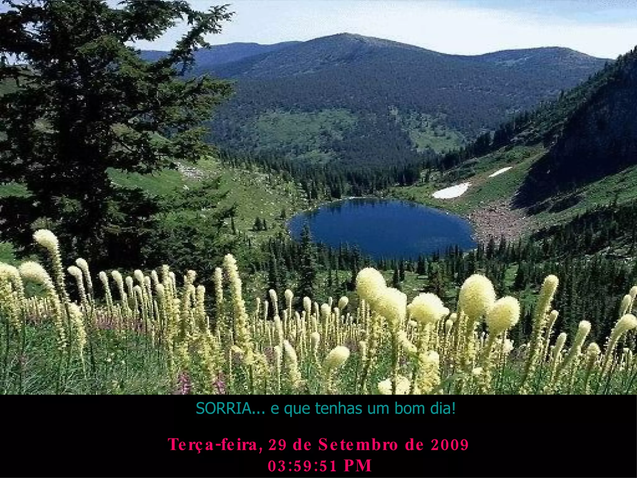 Terça-feira, 29 de Setembro de 2009 03:59:49 PM SORRIA... e que tenhas um bom dia! 
