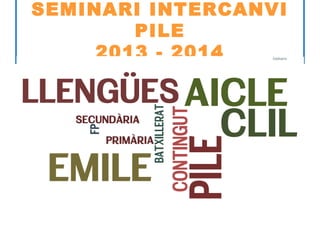 SEMINARI INTERCANVI
PILE
2013 - 2014

Neus Lorenzo

 