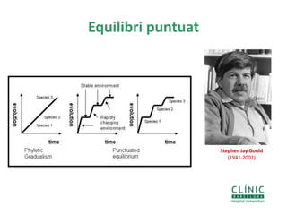 Equilibri puntuat
12
Stephen Jay Gould
(1941-2002)
 
