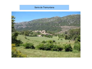 Serra de Tramuntana
 