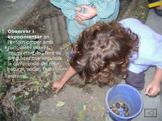5.  Observar i experimentar  en l'entorn proper amb curiositat i interès, interpretant-lo i fent-se preguntes que impulsin la comprensió del món natural, social, físic i material.   