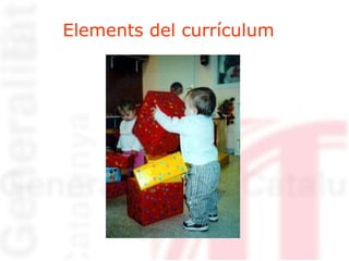 Elements del currículum 