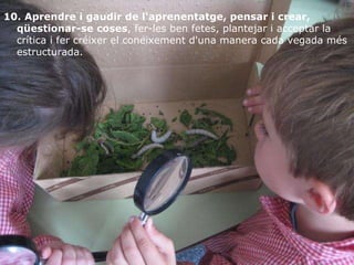 10.   Aprendre i gaudir de l‘aprenentatge, pensar i crear, qüestionar-se coses , fer-les ben fetes, plantejar i acceptar la crítica i fer créixer el coneixement d'una manera cada vegada més estructurada.  