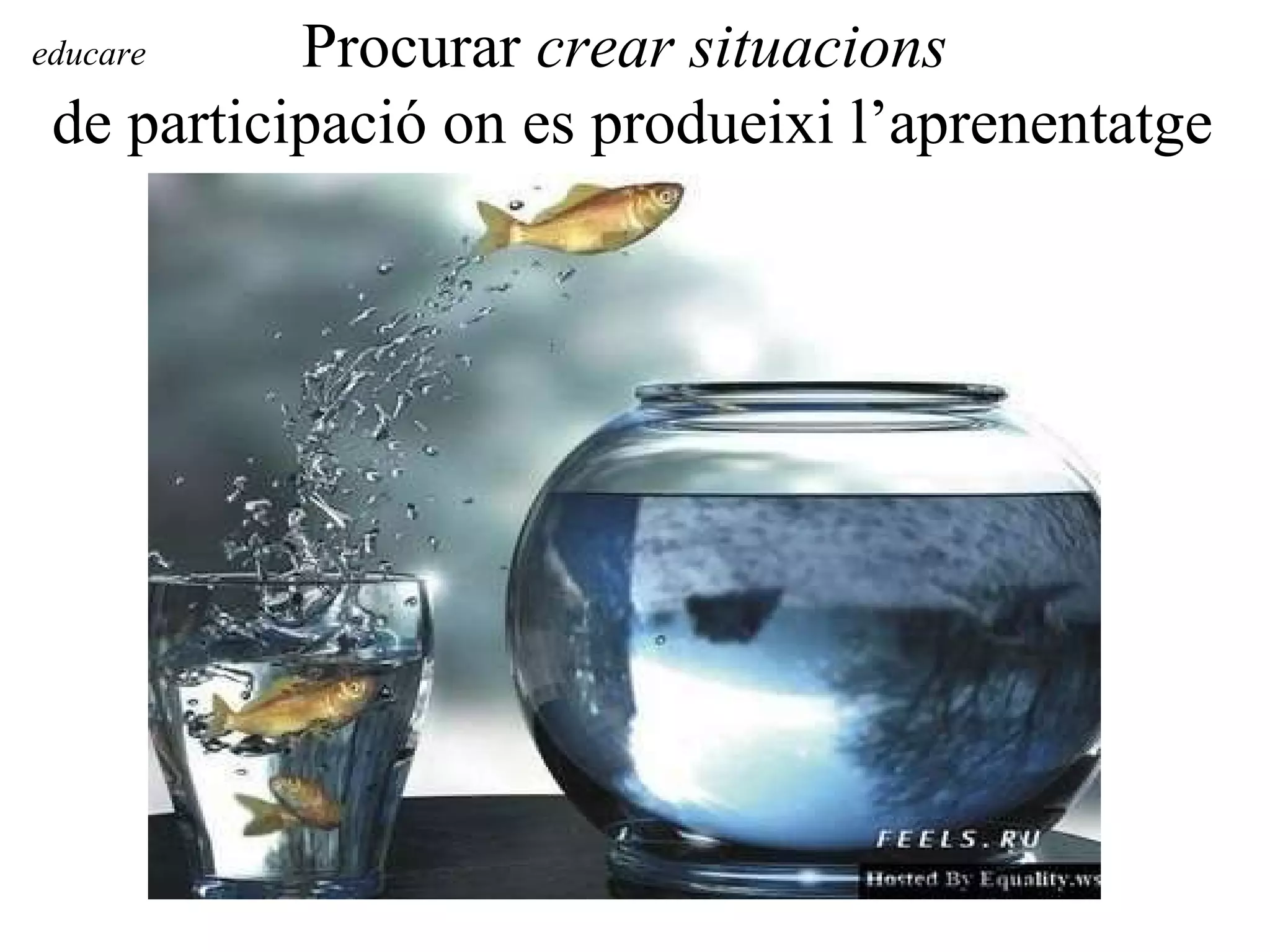 Procurar  crear situacions  de participació on es produeixi l’aprenentatge educare 