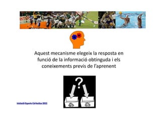 Aquest mecanisme elegeix la resposta en 
                    funció de la informació obtinguda i els 
                      coneixements previs de l’aprenent




Iniciació Esports Col∙lectius 2012
 