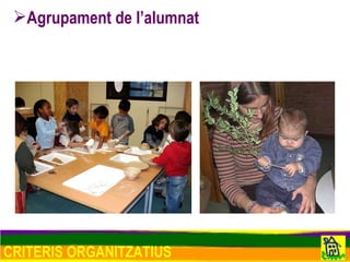 CRITERIS ORGANITZATIUS Agrupament de l’alumnat 
