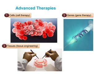 Advanced Therapies
Cells (cell therapy)1
Tissues (tissue engineering)3
Genes (gene therapy)2
 