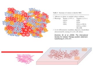 From Dr. L. Rodríguez (BST)
Dominici, M. et al. (2006). The International
Society for Cellular Therapy position statement.
Cytotherapy 8, 315–317.
 