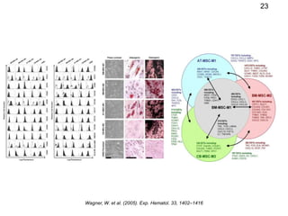 23
Wagner, W. et al. (2005). Exp. Hematol. 33, 1402–1416
 