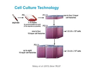 Cell Culture Technology
Robey et al (2015) Bone 70,87
 