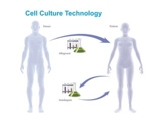 Cell Culture Technology
 