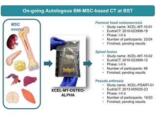 BACKGROUNDOn-going Autologous BM-MSC-based CT at BST
Femoral head osteonecrosis
• Study name: XCEL-MT-10-01
• EudraCT: 2010-023998-18
• Phase: I-II b
• Number of participants: 23/24
• Finished; pending results
Spinal fusion
• Study name: XCEL-MT-10-02
• EudraCT: 2010-023999-12
• Phase: I-II b
• Number of participants: 66
• Finished; pending results
Pseudo arthrosis
• Study name: XCEL-PSART-01
• EudraCT: 2013-005025-23
• Phase: I-II b
• Number of participants: 19/20
• Finished; pending results
MSC
sources
XCEL-MT-OSTEO-
ALPHA
 