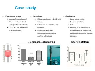 Case study
o Experimental groups :
 Autograft (gold standard)
 Bone construct without
cells (control without cells)
 XCEL-MT-OSTEO-ALPHA
(ovine) (test item)
o Procedures:
 Critical-sized defect (=2.5xØ cm)
in tibia.
 Euthanasia at 3 months post-
treatment.
 Clinical follow-up and
histological/biomechanical
analysis of the tibias.
o Conclusions:
 Large animal model.
 Extreme conditions.
 Safe.
 Effective as an alternative to
autologous bone, avoiding the
associated morbidity to the gold
standard.
Score histology
Gold
standard
(I)
Without
oMSC
(II)
With
oMSC
(III)
P < 0,1
Biomechanical Analysis
 