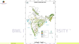 Session 13 - Forest Ecosystem-1 | PDF