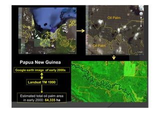 Oil Palm




                                    Oil Palm



  Papua New Guinea
Google earth image of early 2000s



        Landsat TM 1990



   Estimated total oil palm area
    in early 2000: 64,335 ha
 