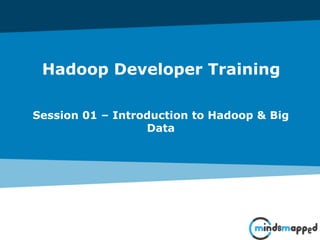 Page 1Classification: Restricted
Hadoop Developer Training
Session 01 – Introduction to Hadoop & Big
Data
 