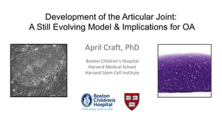 Development of the Articular Joint: A Still Evolving Model & Implications for OA