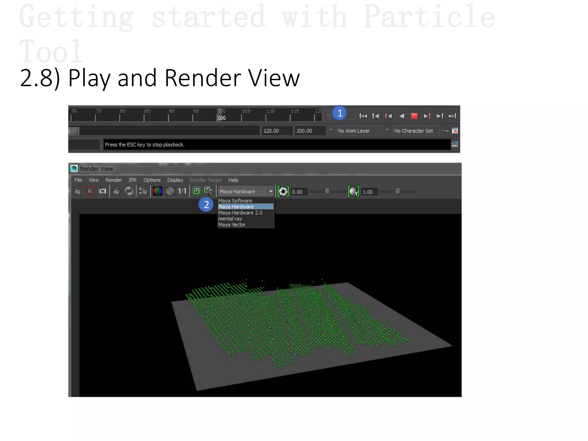 2.8) Play and Render View
1
2
Getting started with Particle
Tool
 
