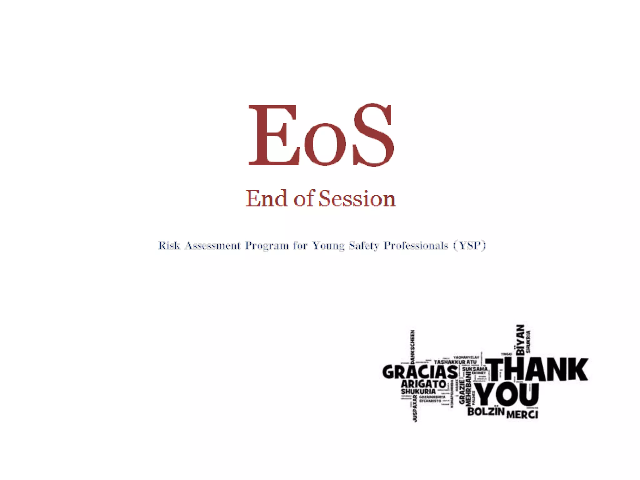 Session 02 Risk Assessment Program for YSP_The Risk Assessment Process