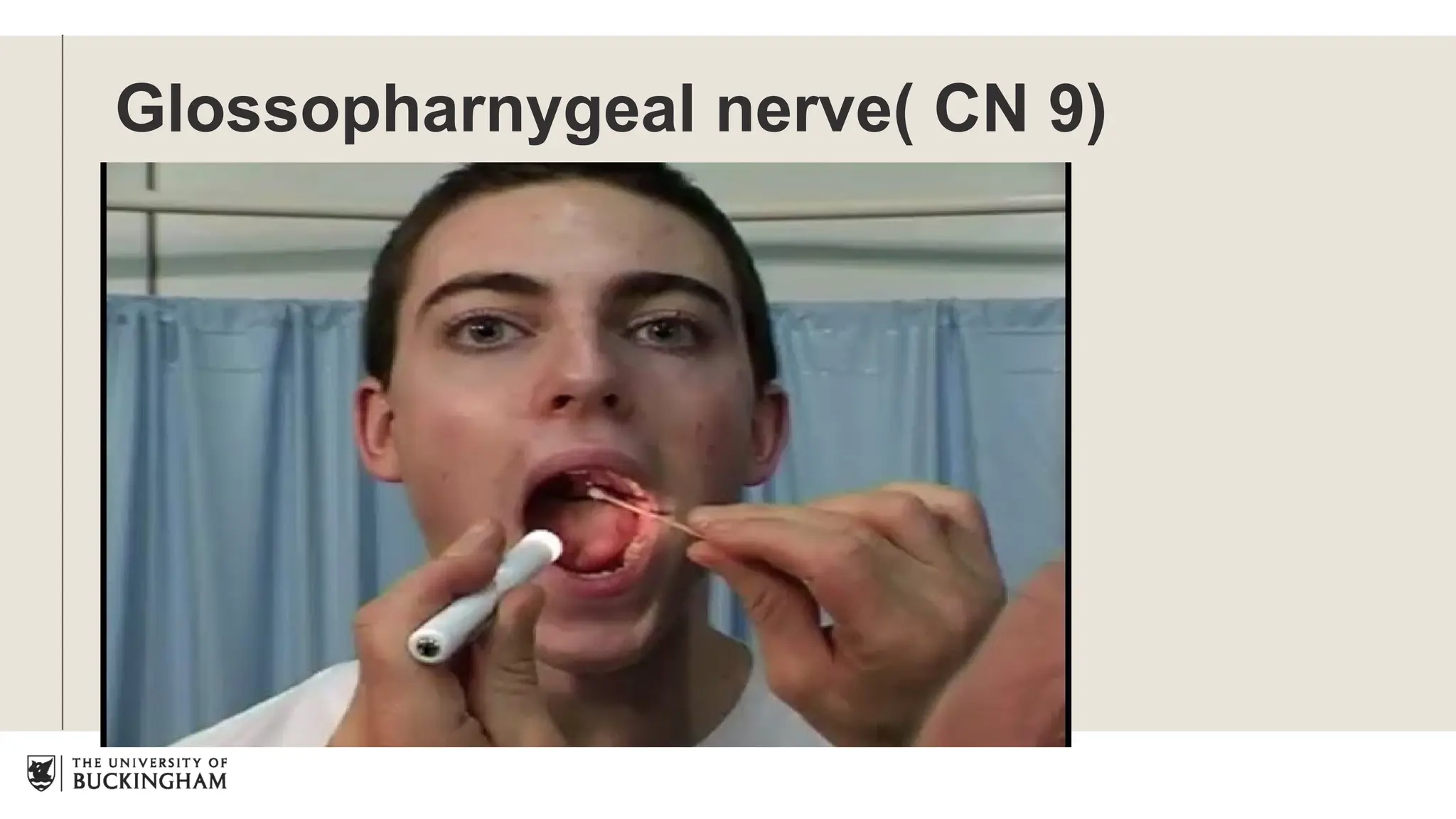 Glossopharnygeal nerve( CN 9)
 