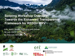 Scoping Workshop Overview:
Towards the Enhanced Transparency
Framework for REDD+ MRV
• ILRI, Addis Ababa, Ethiopia and Onl...