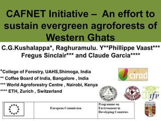 CAFNET Initiative – An effort to
sustain evergreen agroforests of
Western Ghats
C.G.Kushalappa*, Raghuramulu. Y**Phillippe Vaast***
Fregus Sinclair*** and Claude Garcia****
*College of Forestry, UAHS,Shimoga, India
** Coffee Board of India, Bangalore , India
*** World Agroforestry Centre , Nairobi, Kenya
**** ETH, Zurich , Switzerland

 