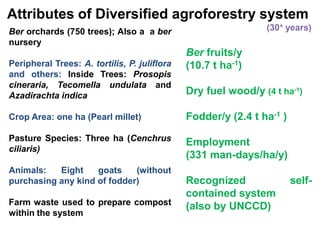 Attributes of Diversified agroforestry system
(30+ years)

Ber orchards (750 trees); Also a a ber
nursery
Peripheral Trees: A. tortilis, P. juliflora
and others: Inside Trees: Prosopis
cineraria, Tecomella undulata and
Azadirachta indica

Ber fruits/y
(10.7 t ha-1)
Dry fuel wood/y (4 t ha-1)

Crop Area: one ha (Pearl millet)

Fodder/y (2.4 t ha-1 )

Pasture Species: Three ha (Cenchrus
ciliaris)

Employment
(331 man-days/ha/y)

Animals:
Eight
goats
(without
purchasing any kind of fodder)

Farm waste used to prepare compost
within the system

Recognized
contained system
(also by UNCCD)

self-

 