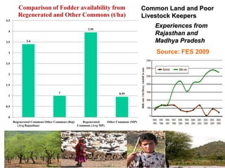 Comparison of Fodder availability from
Regenerated and Other Commons (t/ha)

Common Land and Poor
Livestock Keepers

4.5

3.5

Experiences from
Rajasthan and
Madhya Pradesh

3.95

4
3.4

Source: FES 2009

3

2.5

2

1.5
1
1

0.95

0.5

0
Regenerated Commons Other Commons (Raj)
Regenerated
Other Commons (MP)
(Avg Rajasthan)
Commons (Avg MP)

 