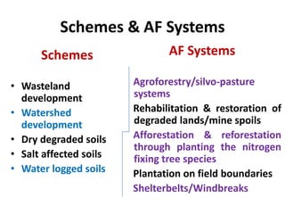 Schemes & AF Systems
Schemes
• Wasteland
development
• Watershed
development
• Dry degraded soils
• Salt affected soils
• Water logged soils

AF Systems
Agroforestry/silvo-pasture
systems
Rehabilitation & restoration of
degraded lands/mine spoils
Afforestation & reforestation
through planting the nitrogen
fixing tree species
Plantation on field boundaries
Shelterbelts/Windbreaks

 