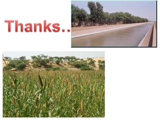 Session 1.4 design & devp of agroforestry systems