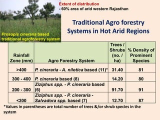 Extent of distribution
- 60% area of arid western Rajasthan

Prosopis cineraria based
traditional agroforestry system

Rainfall
Zone (mm)
>400

Traditional Agro forestry
Systems in Hot Arid Regions

Agro Forestry System

Trees /
Shrubs % Density of
(no. /
Prominent
ha)
Species

P. cineraria - A. nilotica based (11)* 31.40

81

300 - 400 P. cineraria based (8)
14.20
80
Ziziphus spp. - P. cineraria based
200 - 300 (6)
91.70
91
Ziziphus spp. - P. cineraria <200
Salvadora spp. based (7)
12.70
87
*Values in parentheses are total number of trees &/or shrub species in the
system

 