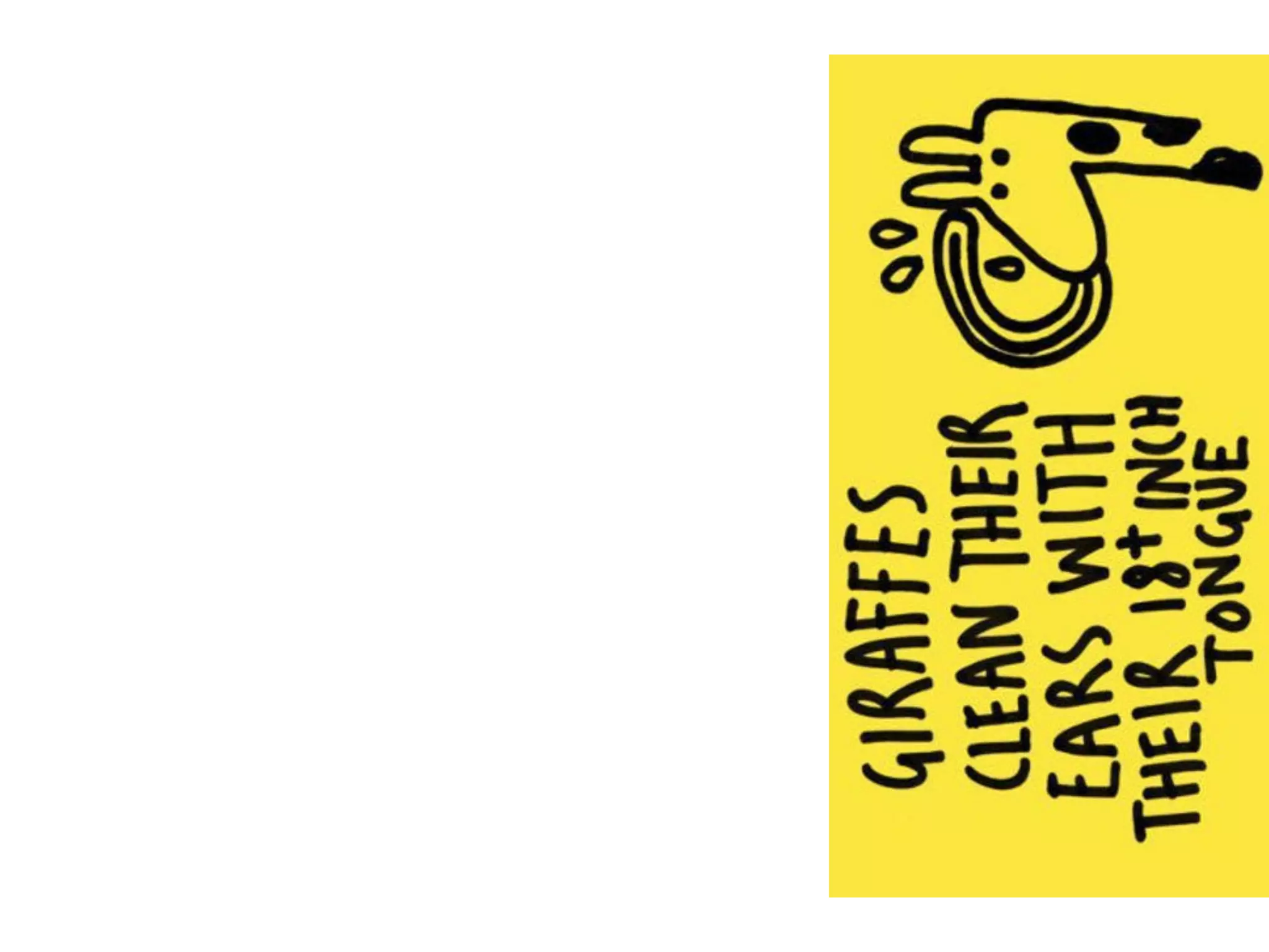Can Christians drink alcohol?
How did you reach your conclusion?
Later we shall look at a model from
Scott Rae which is designed to help in
ethical decision making
 